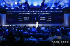 <b>Topbrand最高200万以上投放55%结果券反哺</b>
